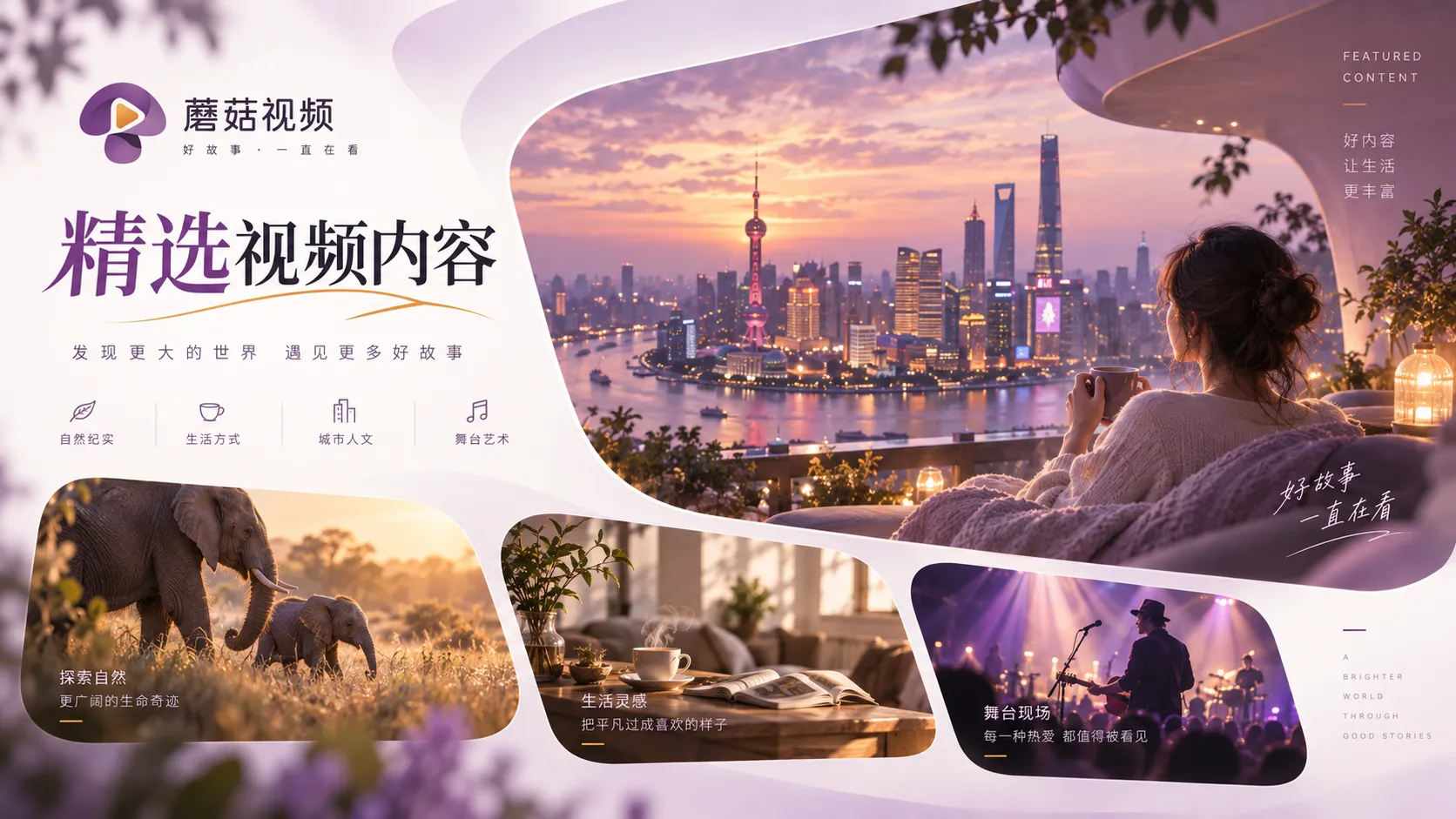 蘑菇视频内容筛选与观看整理